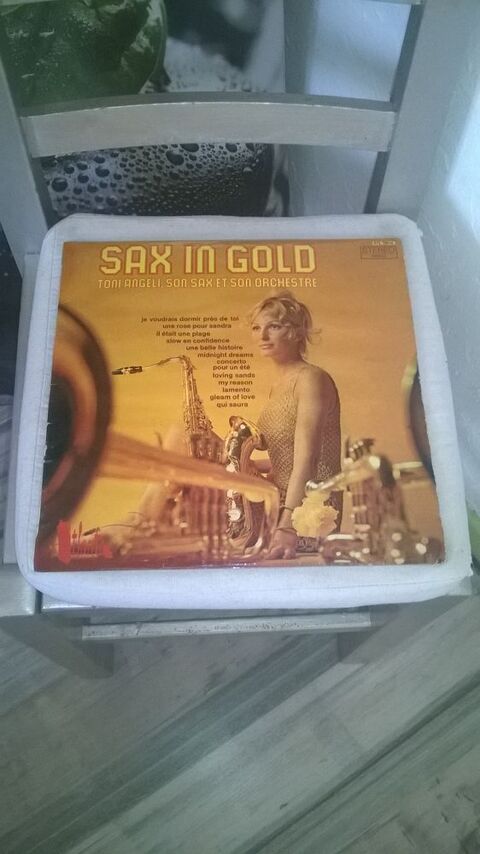 Vinyle Toni Angeli
Sax In Gold
Bon etat
My Reason
Lamento 10 Talange (57)