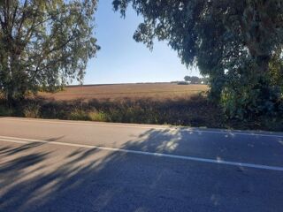  Terrain � vendre 50000 m� Kh�misset, maroc