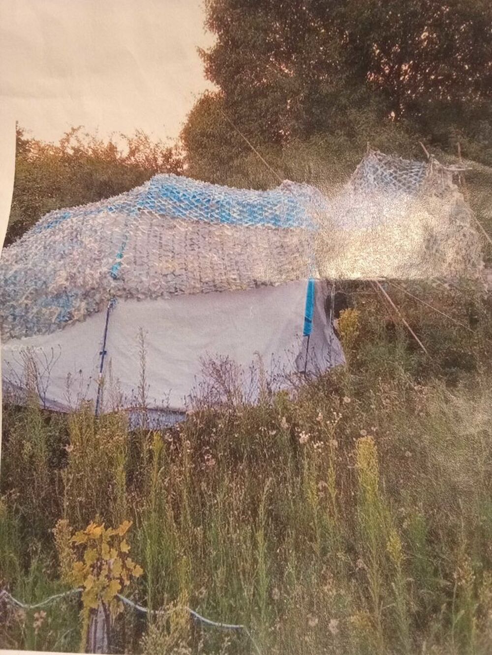 (dpt65)houe mara&icirc;ch&egrave;re /abri semi grande tente/table/&eacute;vier/ Jardin