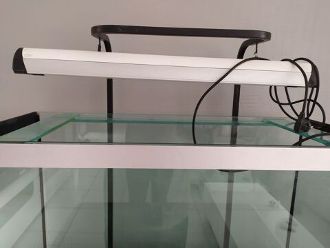 aquarium 31770 Colomiers