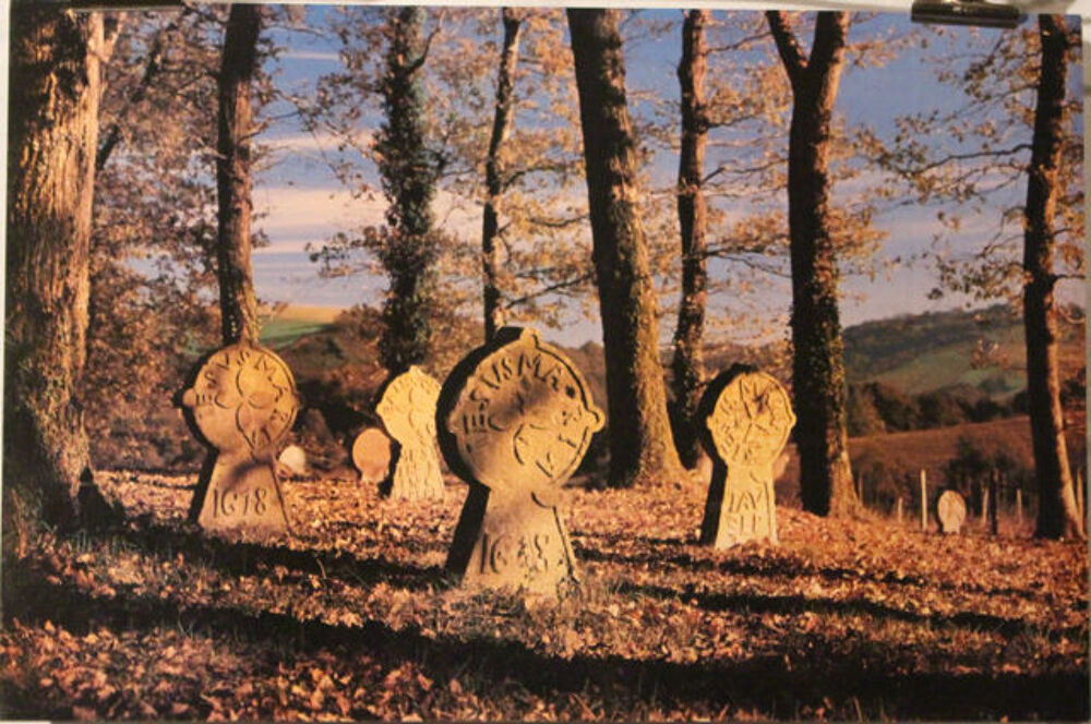 PAYS BASQUE : " LES STELES DISCO&Iuml;DALES " Décoration