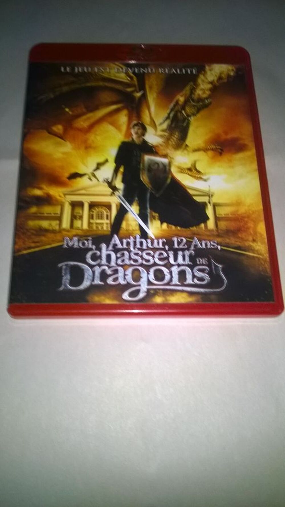 DVD Blu-ray
Moi, Arthur, 12 ans, chasseur de dragons
2010
DVD et blu-ray