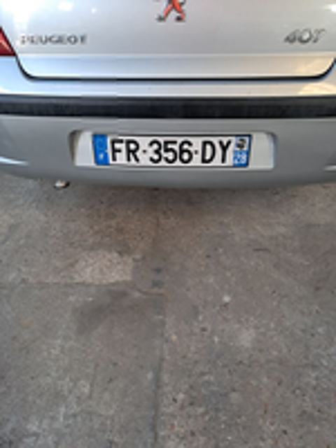 407 2.0e 16v Ex&eacute;cutive 2006 occasion 95420 Magny-en-Vexin