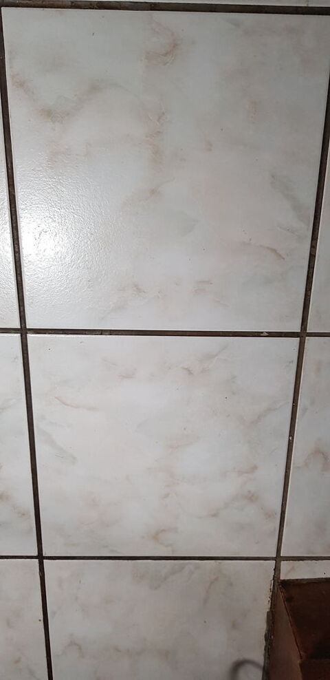 Carrelage 30x30 1 Bonneville (80)