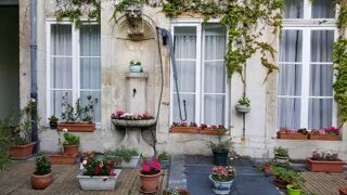  Appartement � louer 1 pi�ce 22 m�