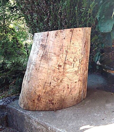 Billot rondin de bois pour enclume, tabouret, déco ... Monnetier-Mornex (74)
