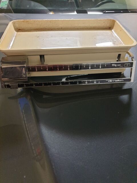 balance terraillon 15 Fleury-sur-Orne (14)