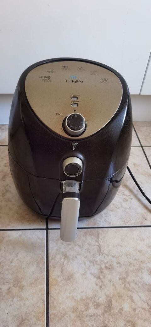 Air Fryer/friteuse sans huile Dijon (21)