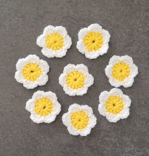 petites fleurs 5 Saint-Didier-en-Velay (43)