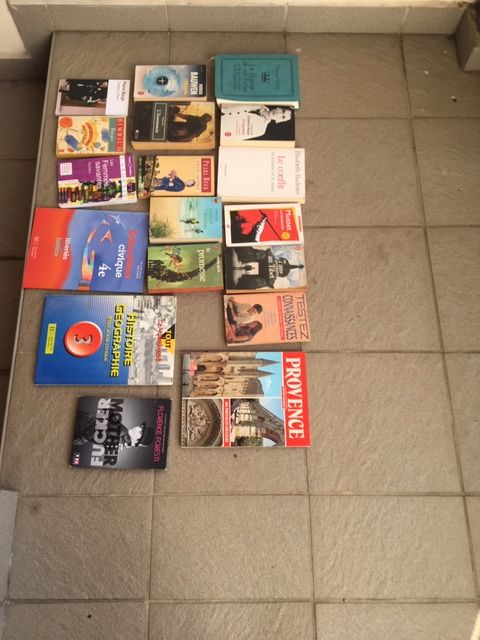 DIVERS LIVRES (éducations, cuisines, romans). 10 Sainte-Suzanne (97)