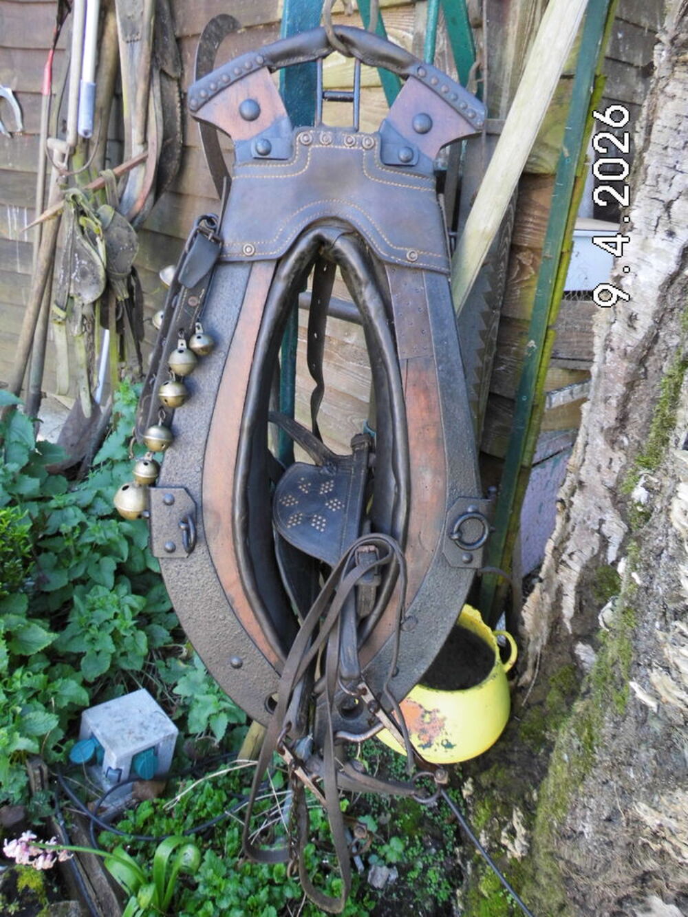  Collier cheval 