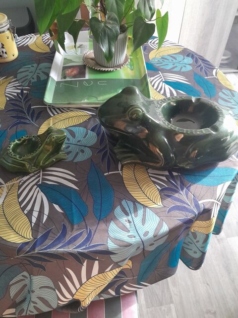 Grenouille guyot 150 Coudekerque-Branche (59)