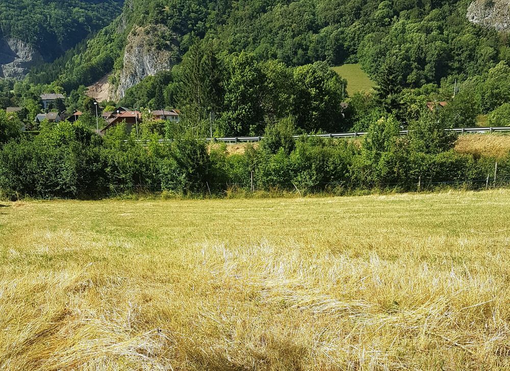 Vente Terrain Terrain agricole 4027m2 Viuz-en-sallaz