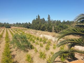  Ferme à vendre 5 pièces 106200 m² Nabeul?, tunisie