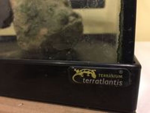   Aquarium Terratlantis  