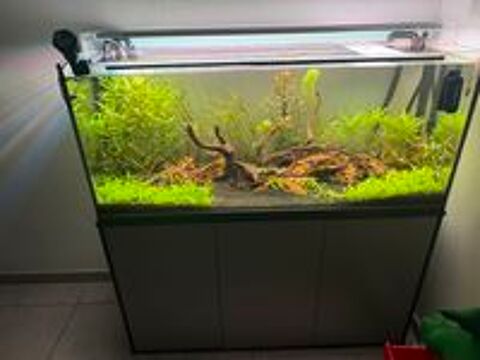   Aquarium 240L brut quasi neuf  