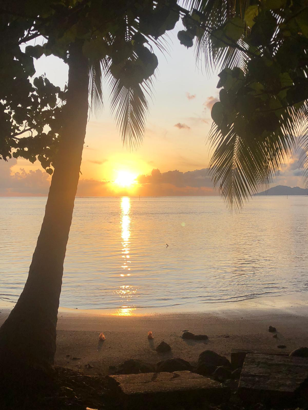 Location Appartement F3 TAHITI PUNAAUI PROX LAGON PROPRE NEUF Polynésie française