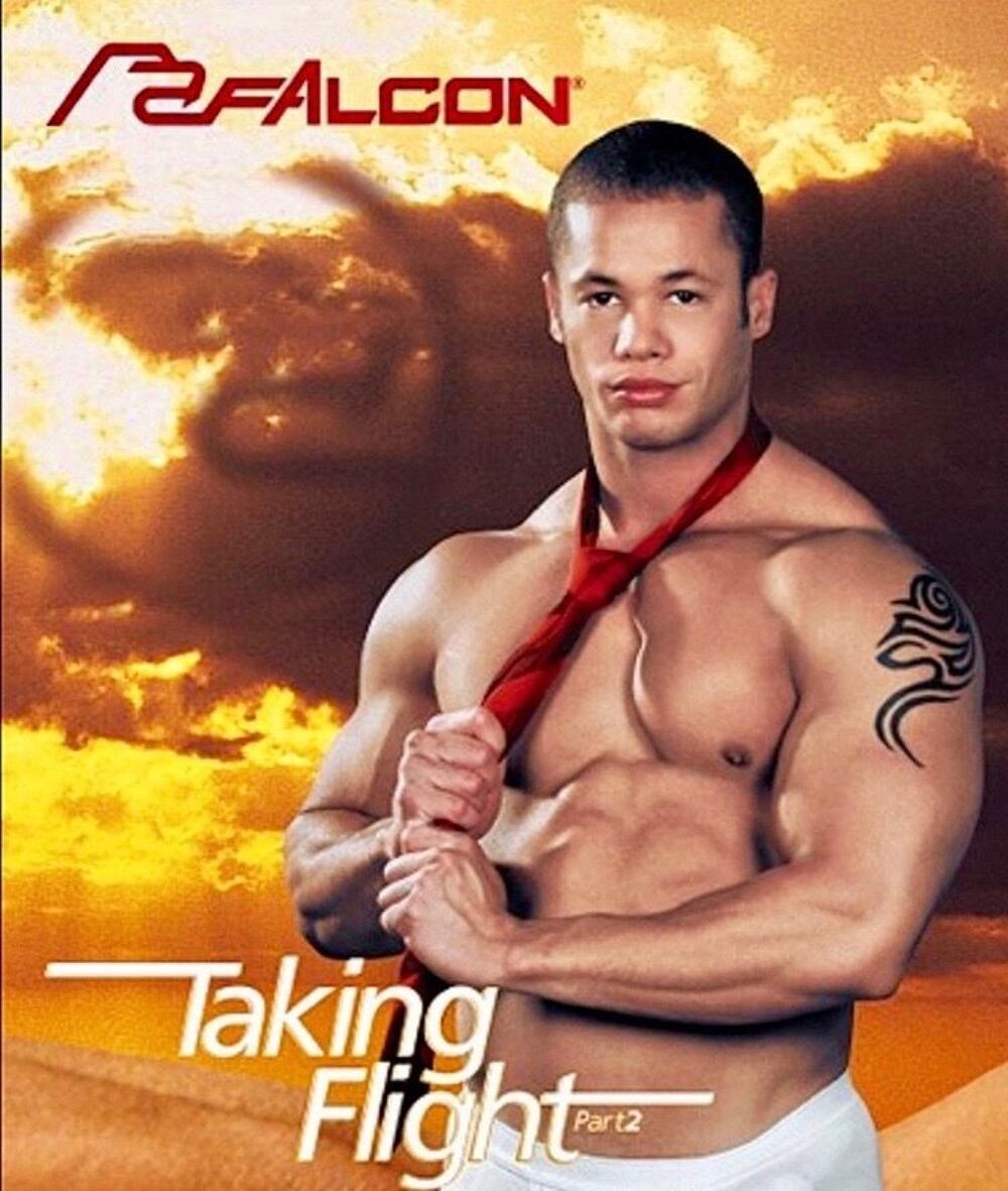 TAKING FLIGHT / FALCON STUDIOS DVD DVD et blu-ray