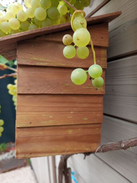 Maison secondaire pour Rouge gorge 10 Douvrin (62)