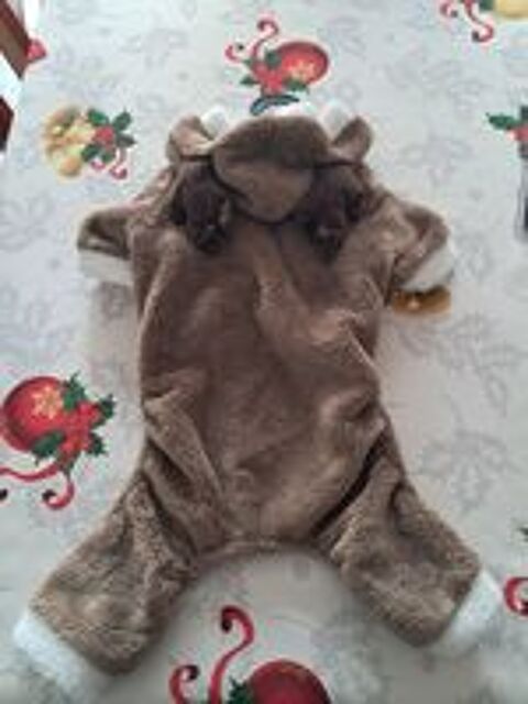   Manteau chien Renne noel pyjama fete caniche jack russel 