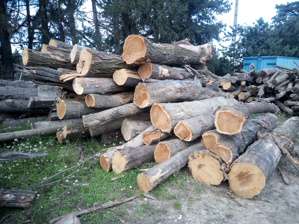 Venez acheter du bois de chauffage sec chez nous . ???? Jardin