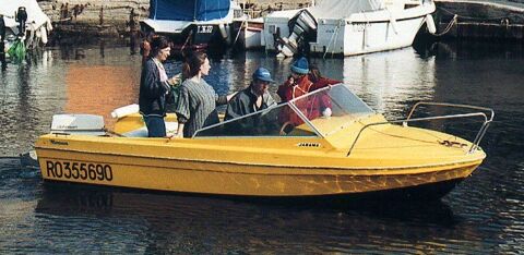 Bateaux à moteur Pêche-promenade 1976 occasion Six-Fours-les-Plages 83140