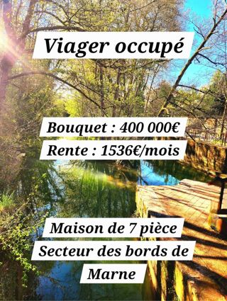  Investissement � vendre 7 pi�ces 161 m�