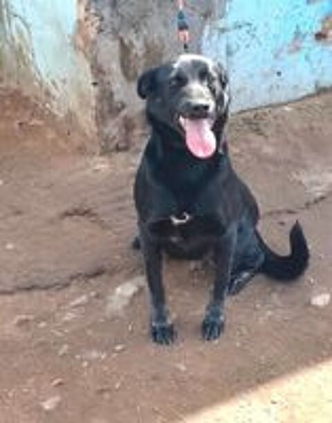   JADE SE TROUVE DANS UN REFUGE AU MAROC 