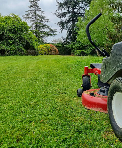 Paysagiste s&eacute;rieux propose ses services 0 90000 Belfort