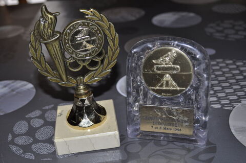 Petits trophes gymnastique 5 Perreuil (71)
