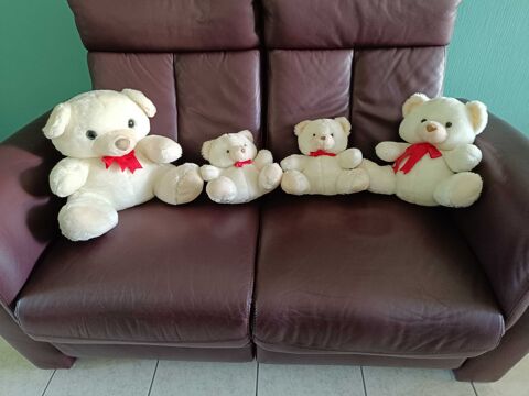 peluches 15 Fougerolles-du-Plessis (53)