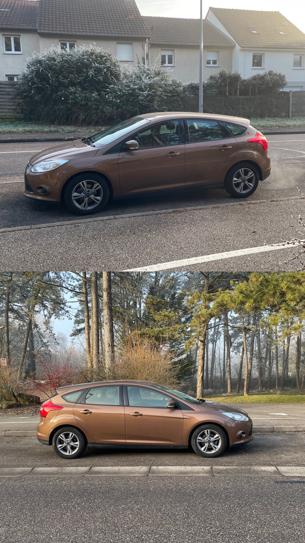 Focus 1.0 SCTi 125 EcoBoost S&S Edition 2014 occasion 54520 Laxou