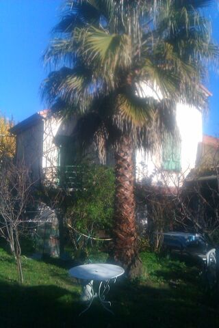  Maison � louer 3/4 pi�ces 116 m�