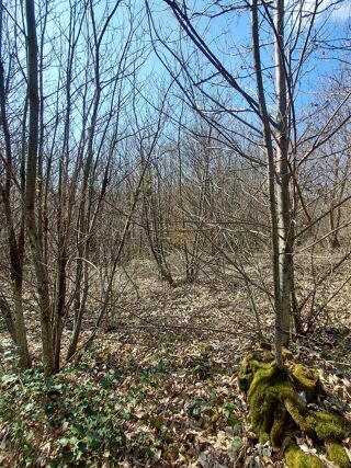  Terrain à vendre 2050 m²