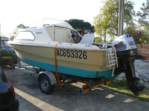 Bateaux &agrave; moteur P&ecirc;che-promenade 1983 occasion Le Teich 33470