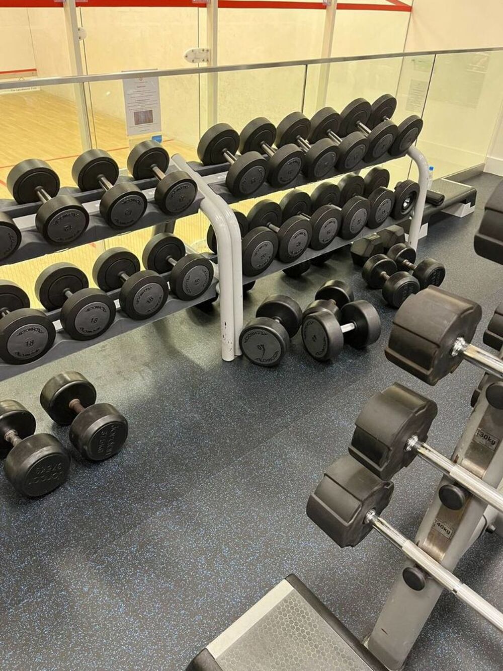 Lot complet Fitness Life Fitness &amp; Hammer Strength
Sports