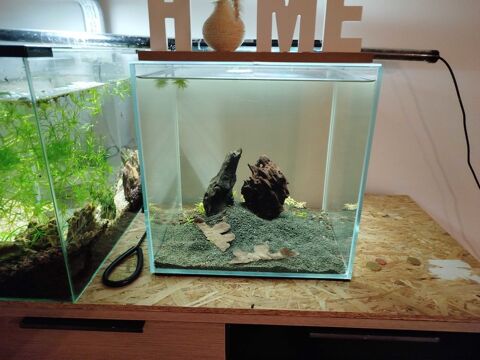 aquarium 27l 20 Bulles (60)