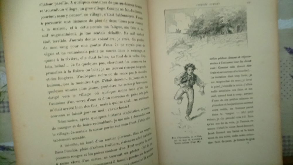 Jacques Dumont roman d'un petit paysan Livres et BD