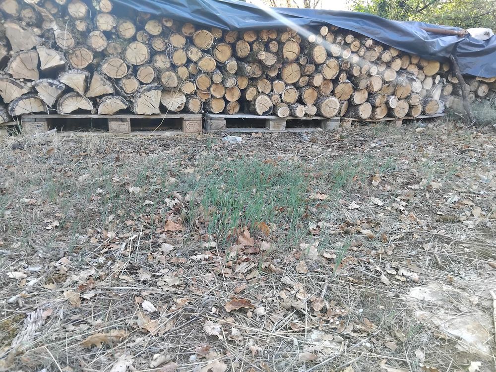 Bois de chauffage Jardin