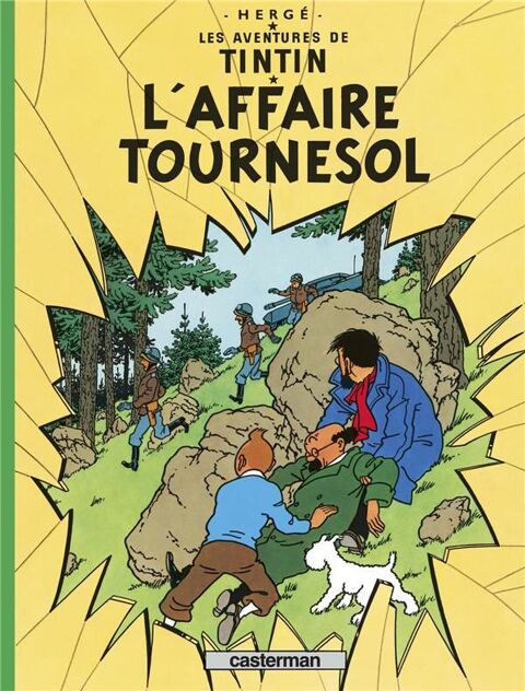 Les aventures de Tintin Tome 18 : l'affaire Tournesol 7 Boisset-les-Prvanches (27)