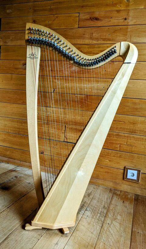 Harpe Camac 36 cordes 3500 Saint-Venant (62)