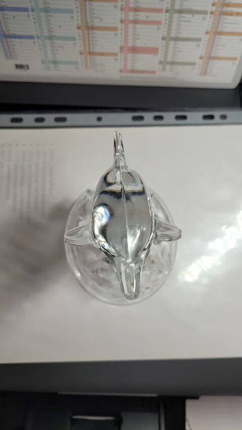 DAUPHIN SURFANT SUR UNE VAGUE  5 Lavalette (31)