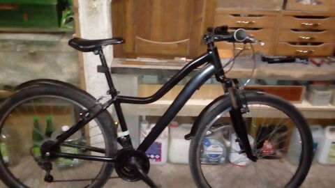 VTT Rieulay (59)