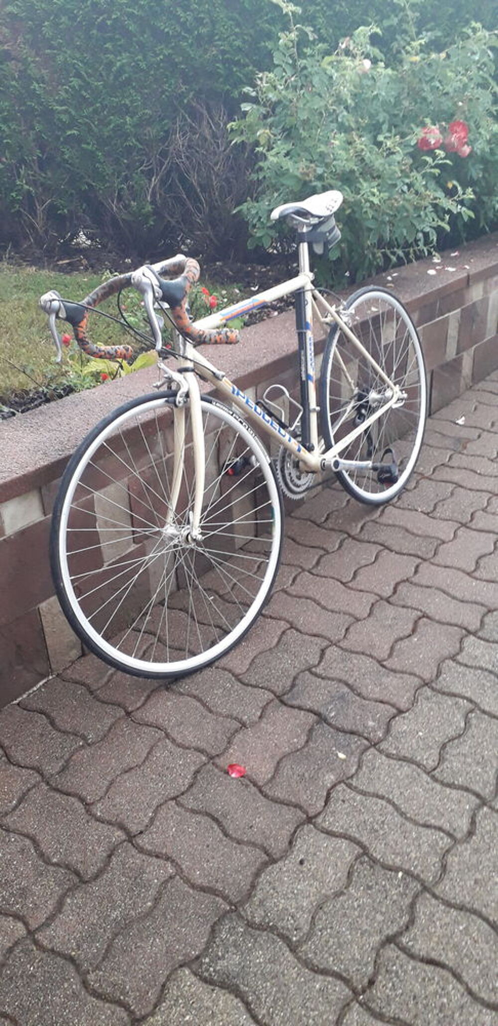 V&eacute;lo de route Vélos