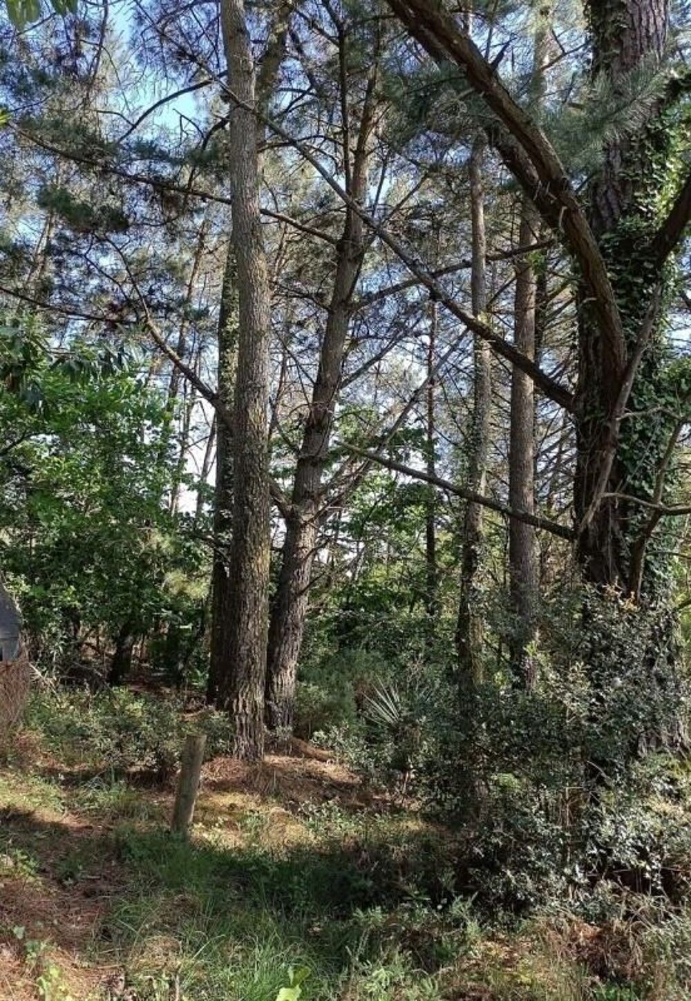   association cherche aide entretien foret 