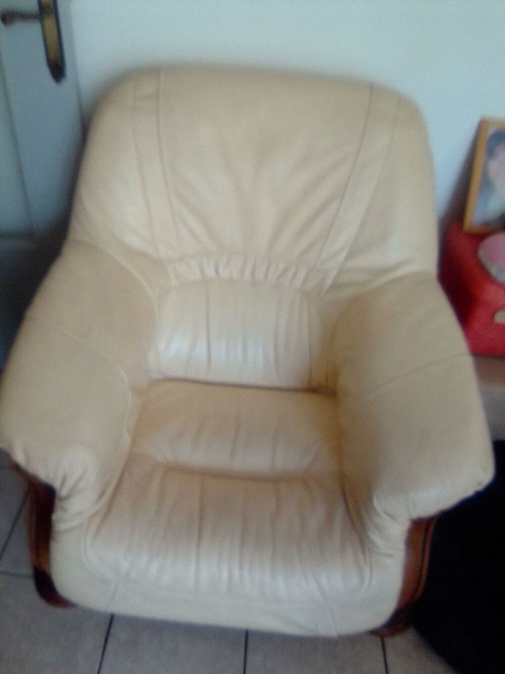 Fauteuils cuir Meubles