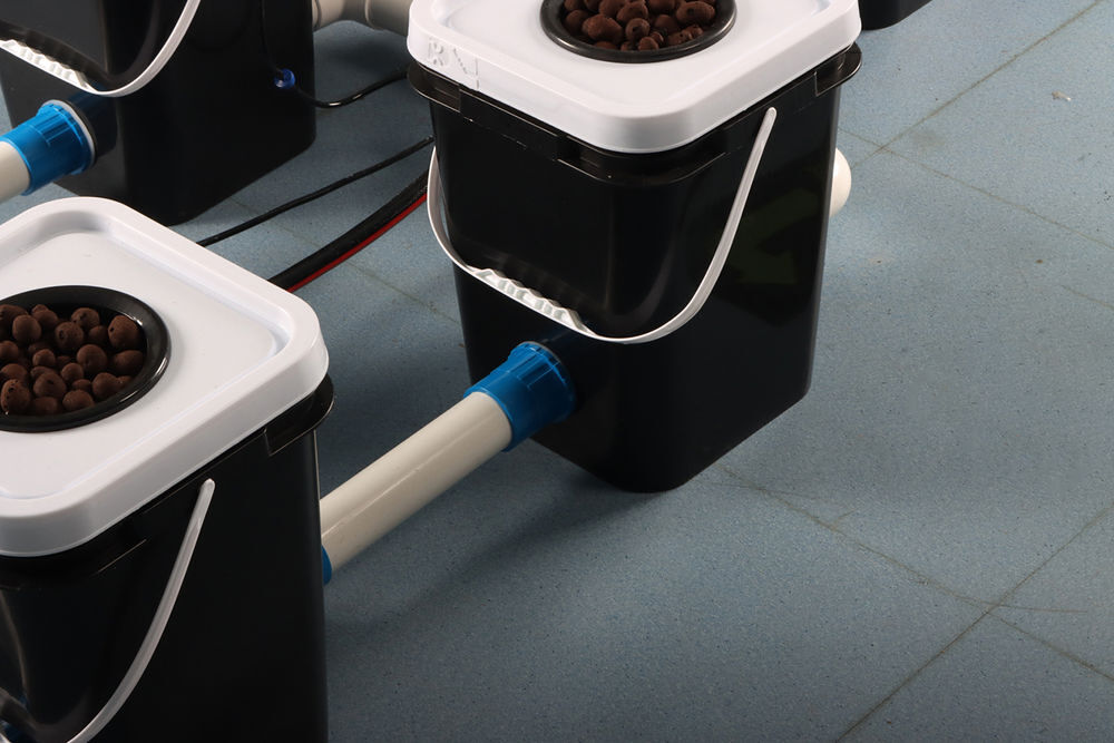 Syst&egrave;me Hydroponique N&eacute;erlandais en eau Profonde Jardin