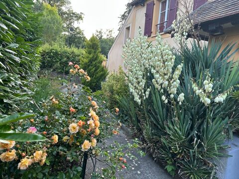  Appartement � louer 1 pi�ce 23 m�