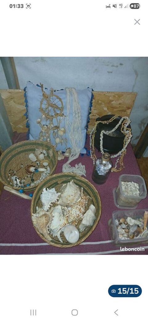 Coquillages 5 Saint-Joseph (97)