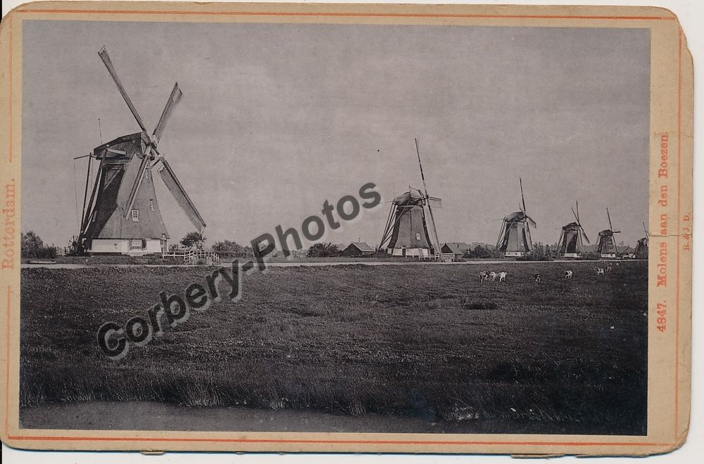 Photo Moulins &agrave; Vent ROTTERDAM - Molens aan den Boezem 1880 